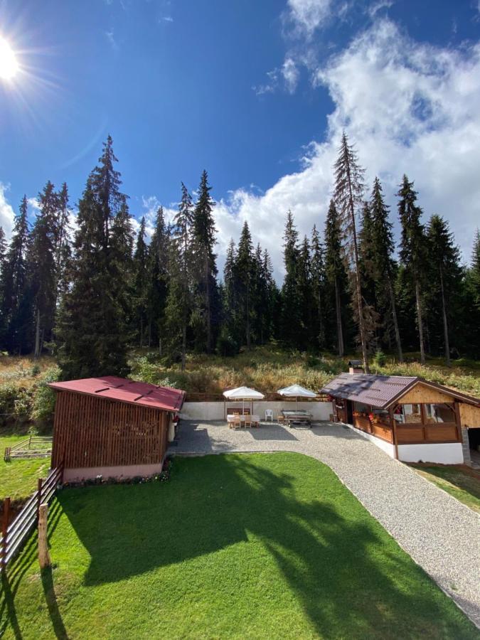 Cabana Ama Otel Tău Bistra Dış mekan fotoğraf
