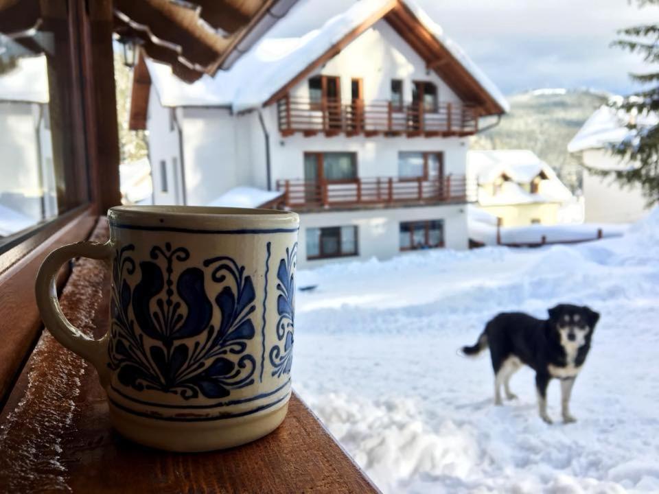 Cabana Ama Otel Tău Bistra Dış mekan fotoğraf