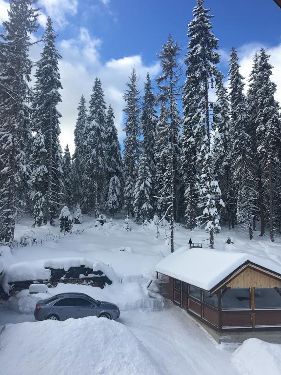 Cabana Ama Otel Tău Bistra Dış mekan fotoğraf